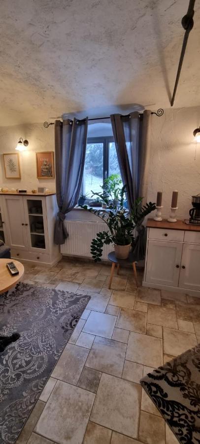 Monteur-Ferienwohnung Ot Naundorf Naundorf  Экстерьер фото
