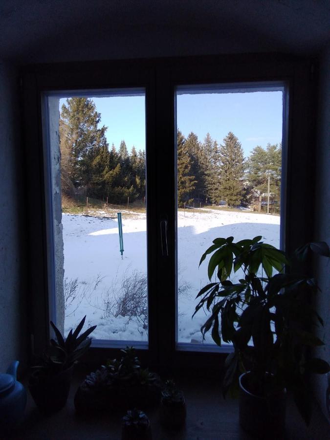 Monteur-Ferienwohnung Ot Naundorf Naundorf  Экстерьер фото